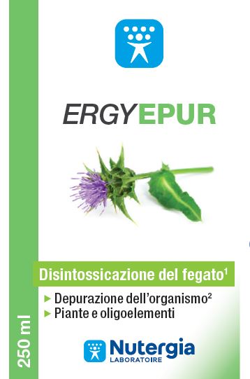 ERGYEPUR 250 ML