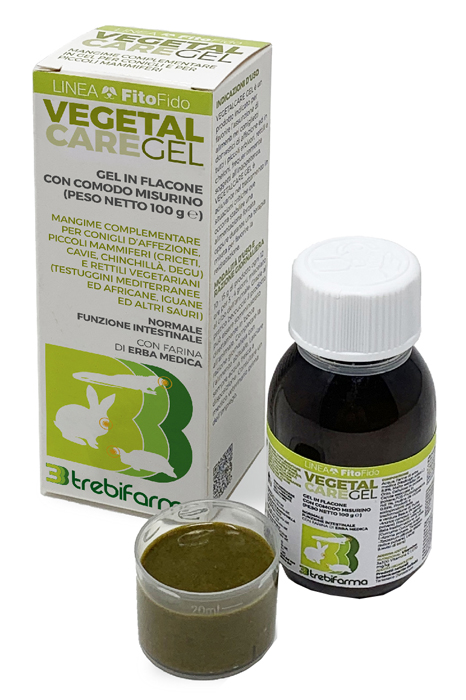 VEGETAL CARE GEL FLACONE 100 G