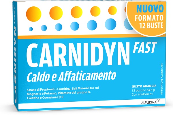 CARNIDYN FAST 12 BUSTINE