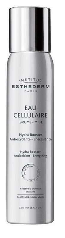 INSTI EAU CELLULAIRE BRUME 100 ML