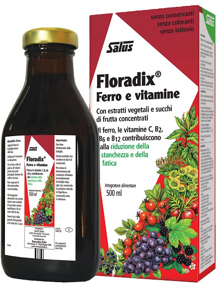 FLORADIX FERRO E VITAMINE 500 ML